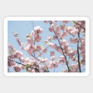 Pastel Cherry Blossoms Sticker